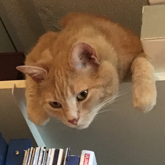 Meet your Posher, Sisko125 - Picture 1 of 1